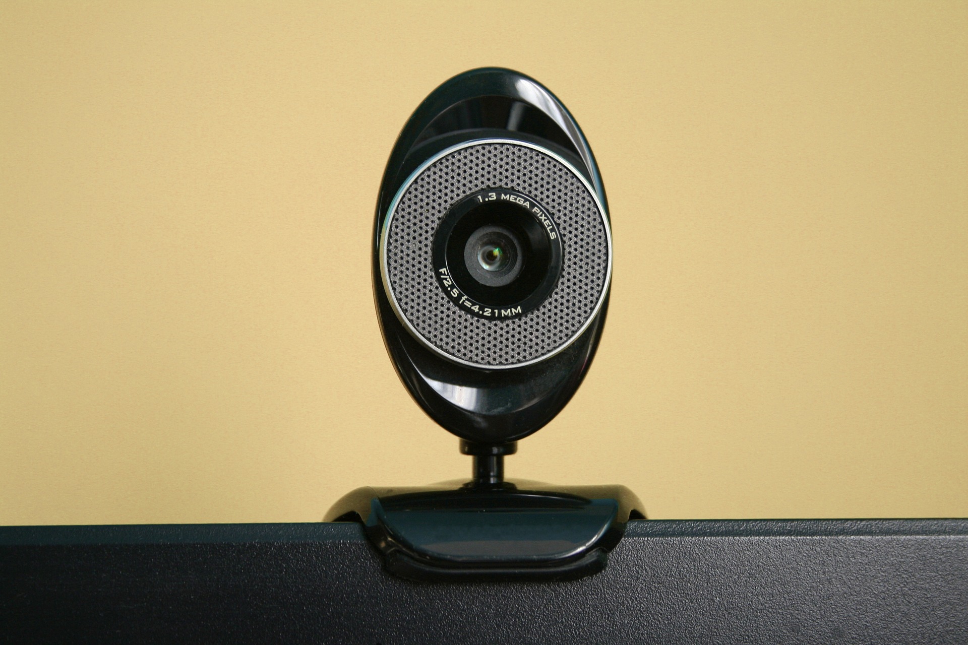 Webcam auf Monitor